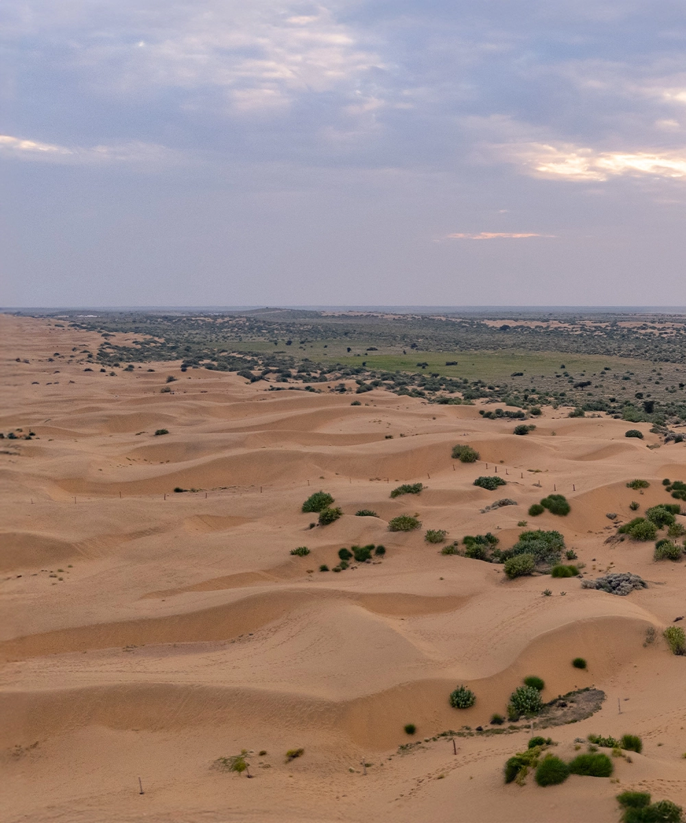 Sam Sand Dunes